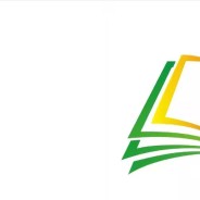 Грантовая поддержка профессионального роста учителей